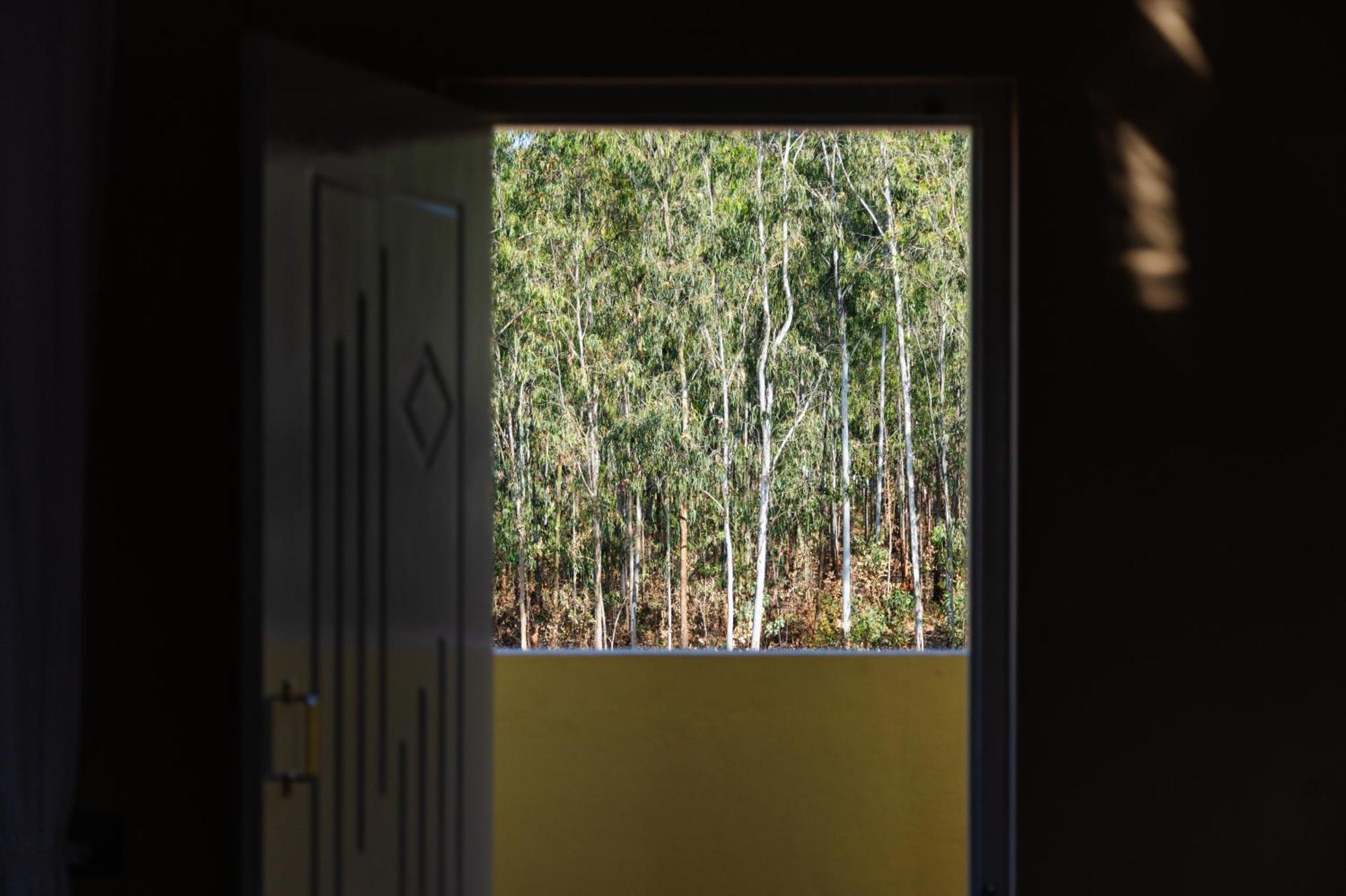 Moonlight Manor- Luxury Escape Villa Bangalore Buitenkant foto
